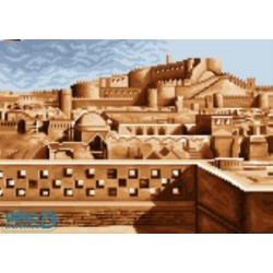 ارگ بم - دارکوب امروز